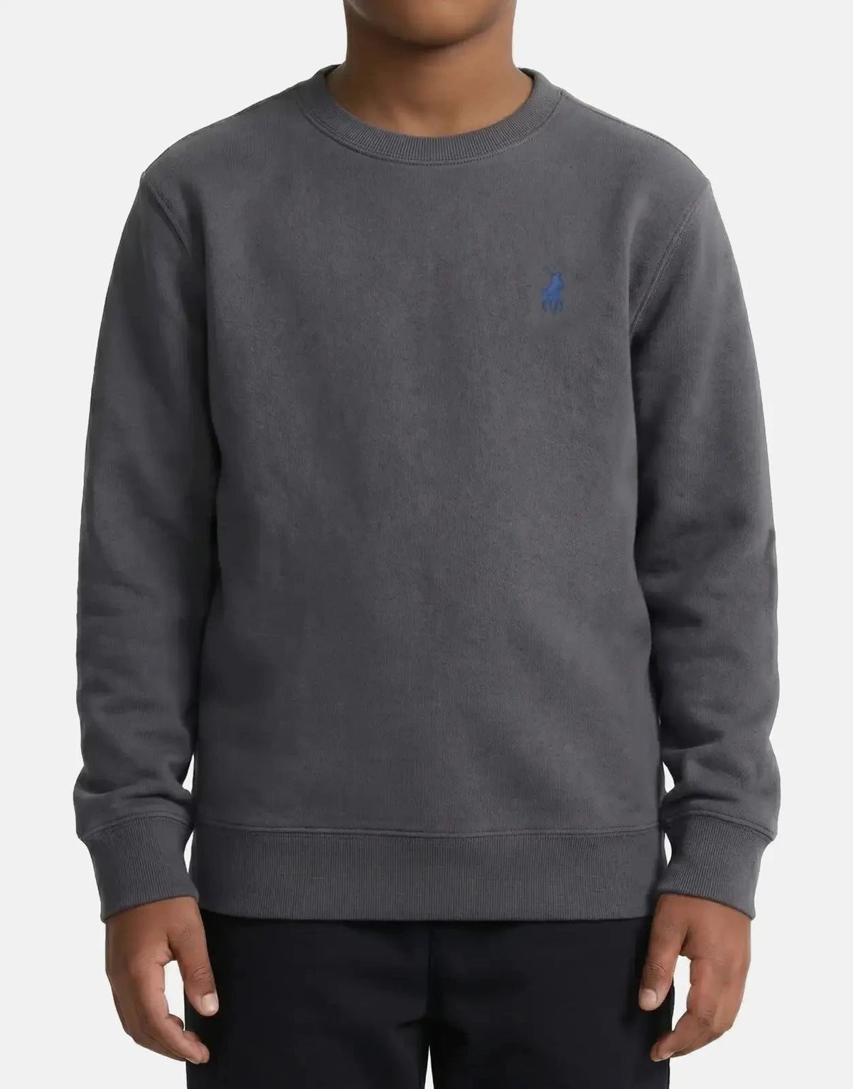 Polo Boys Adrian Gunmetal Sweatshirt - Subwear