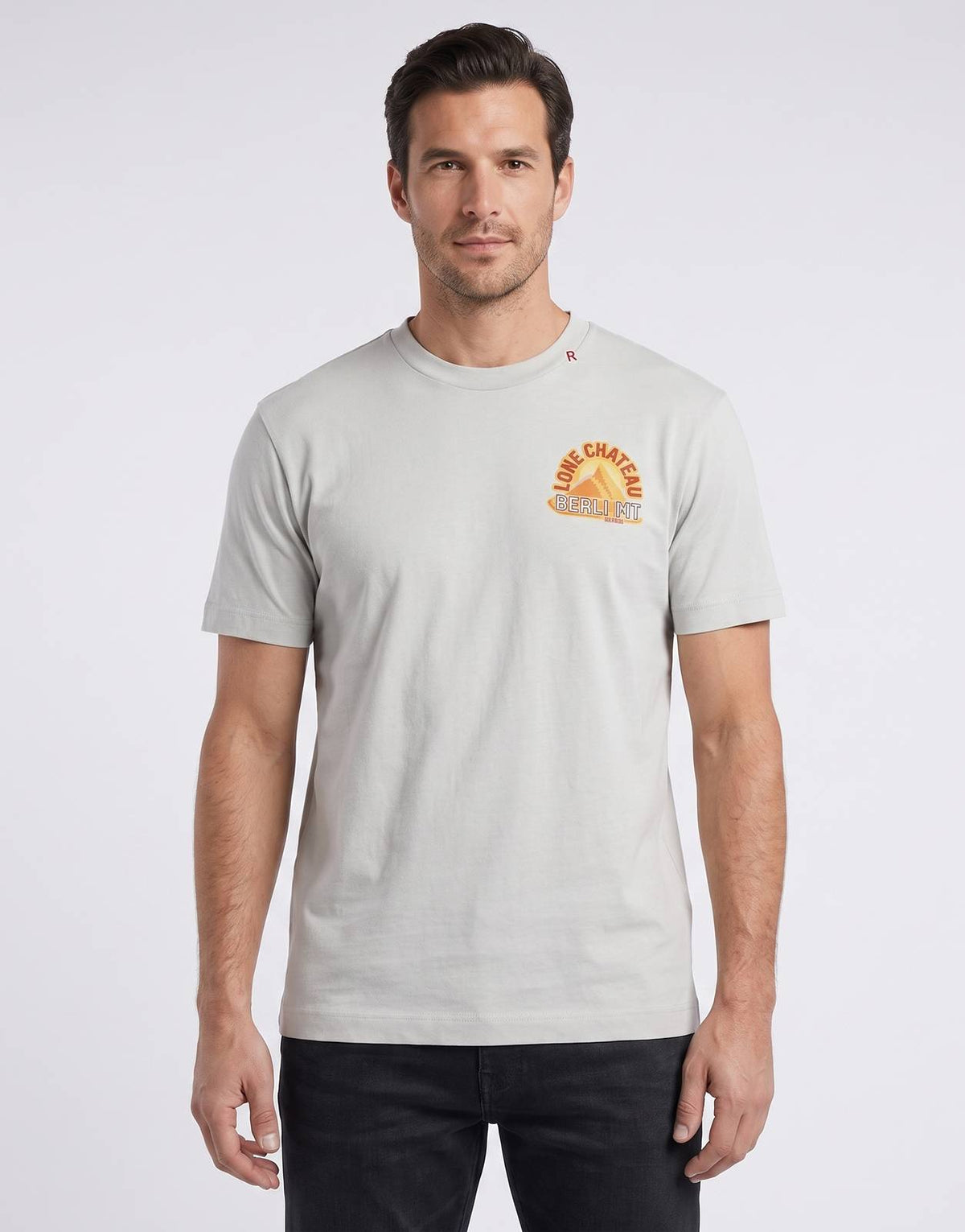 Front view of a men's Replay Lonechateau Print Ice T-Shirt, a light grey short-sleeve crew neck featuring a unique chest