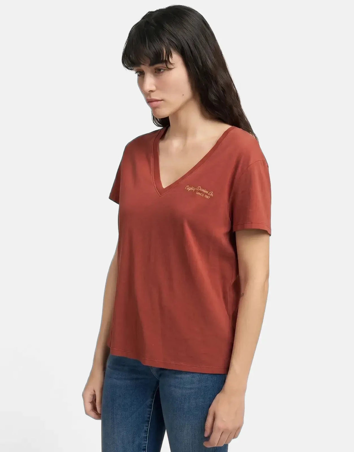 Replay V-Neck Brick Brown T-Shirt - Subwear